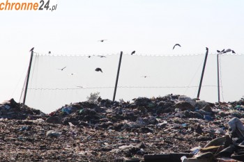 Chojnów Siatki na wysypisko śmieci Sklep Chojnów